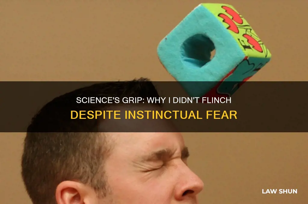 why didn
