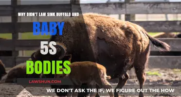 Why Law Didn't Sink Buffalo and Baby 5's Bodies in One Piece