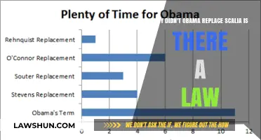 Why Didn't Obama Replace Scalia? Understanding the Legal Constraints