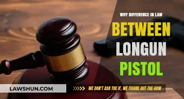 Long Guns vs Pistols: Understanding Legal Differences