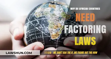 Unlocking Trade Potential: Why African Nations Need Factoring Legislation