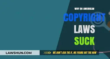 Why American Copyright Laws Fail Creators and Consumers Alike