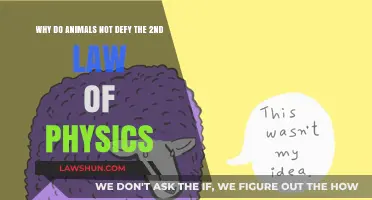 Animals and Entropy: Why Nature Upholds the Second Law of Physics