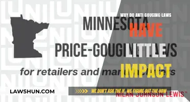 Anti-Gouging Laws: Why They Often Fail to Curb Price Hikes
