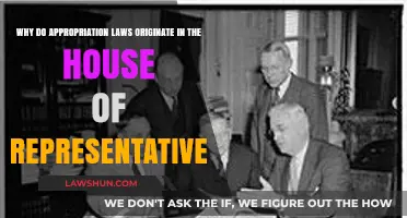 Why Appropriation Laws Begin in the House of Representatives