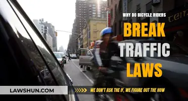 Bicyclists' Law-Breaking: A Study of Risk and Reward