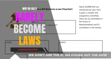 Understanding the Legislative Process: Bills to Laws