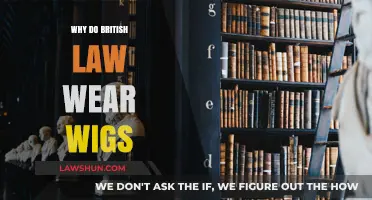 Why British Lawyers Wear Wigs: Tradition, Authority, and Courtroom Legacy