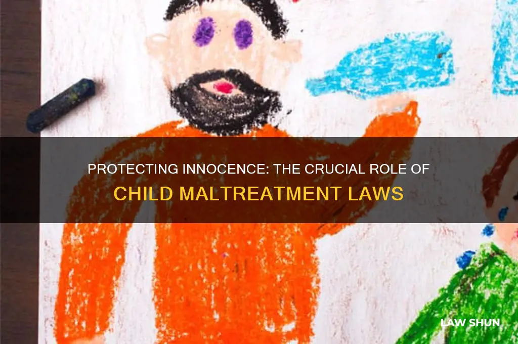 why do child maltreatment laws exist