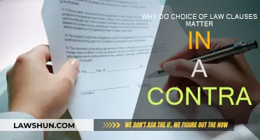Choice of Law: Understanding Contractual Clauses