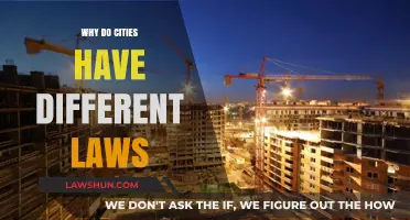 Urban Legal Diversity: Why City Laws Vary