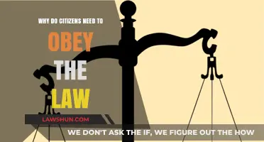 Why Citizens Must Obey the Law: Upholding Society's Order and Justice