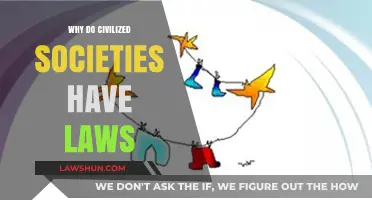 Why Civilized Societies Rely on Laws for Order and Progress