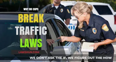 Unveiling the Reasons Behind Police Breaking Traffic Laws