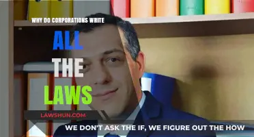 Corporate Power and Policy: Who Really Writes Our Laws?