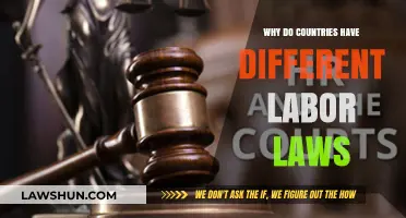 Labor Law Differences: A Country's Unique Workforce Rules