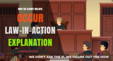 Understanding Court Delays: A Law-in-Action Explanation of Causes