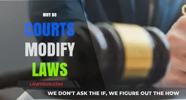 Why Courts Modify Laws: Balancing Justice, Society, and Evolution