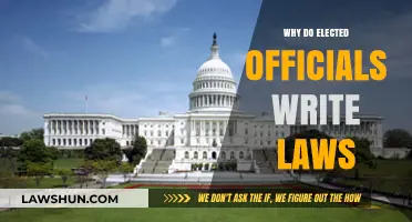 Why Elected Officials Write Laws: Understanding Legislative Power and Purpose