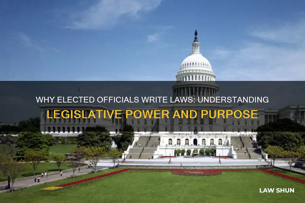 why do elected officials write laws