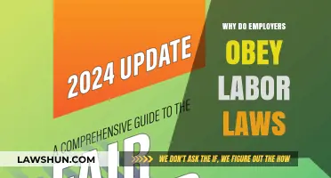 Why Employers Comply with Labor Laws: Benefits and Obligations