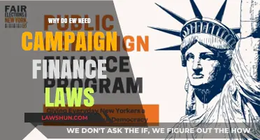 Why Campaign Finance Laws Are Essential for Fair Democracy