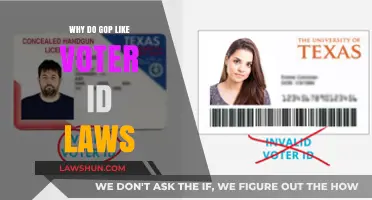 Why GOP Supports Voter ID Laws: Security or Suppression?