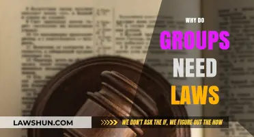 Why Groups Need Laws: Foundations for Order and Cooperation
