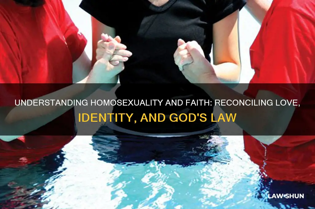 why do homosexaual feel it is ok against gods law