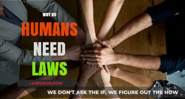 Why Laws Matter: Understanding the Role of Rules in Human Society