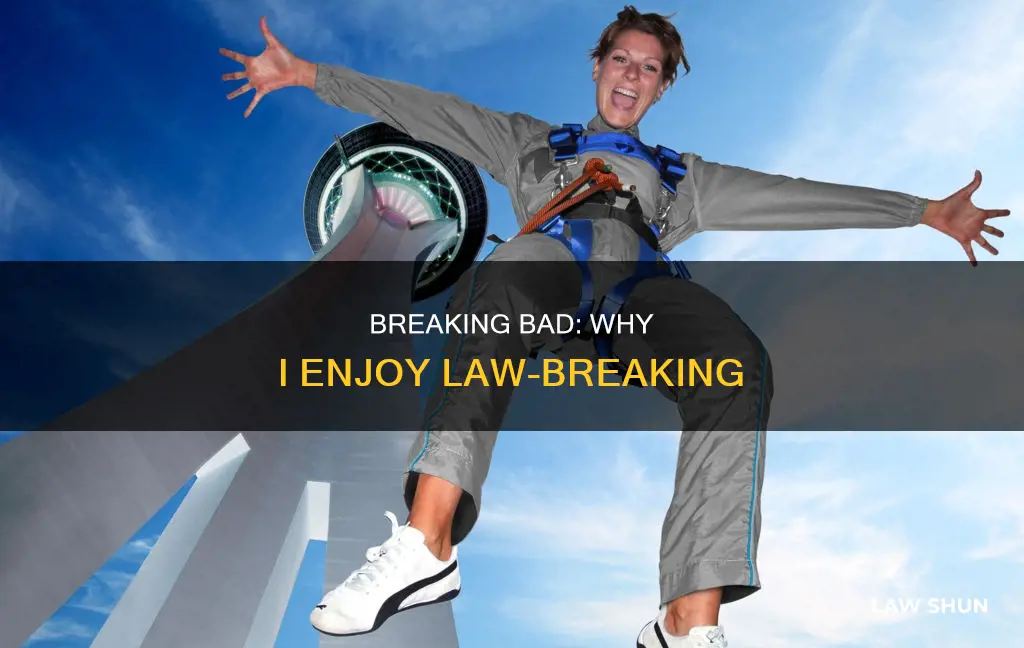 why do i like to break the law
