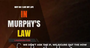 Embracing Chaos: Understanding My Life Through Murphy's Law