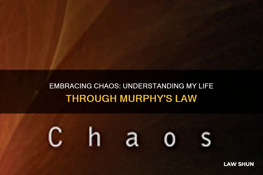 why do i live my life in murphy