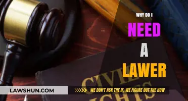 Why Hiring a Lawyer Can Protect Your Rights and Future