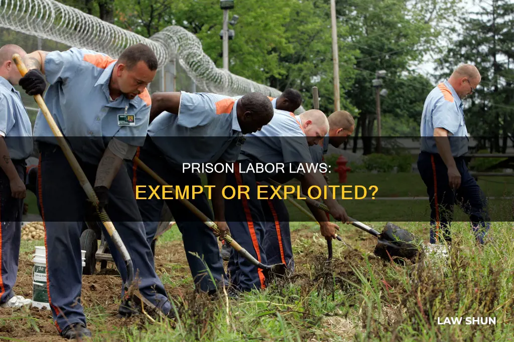 why do labor laws not apply to inmates