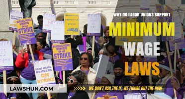 Why Labor Unions Champion Minimum Wage Laws: A Comprehensive Analysis