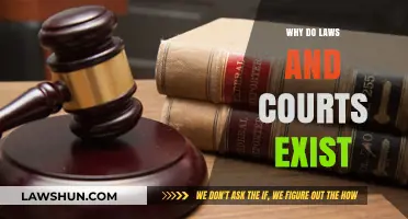 Why Laws and Courts Exist: Foundations of Justice and Order