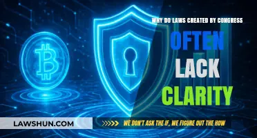 Congressional Laws: Clarity or Confusion?