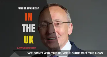 UK Laws: Why They Exist and Their Purpose