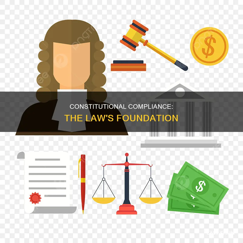 why do laws have to be constitutionally complaint