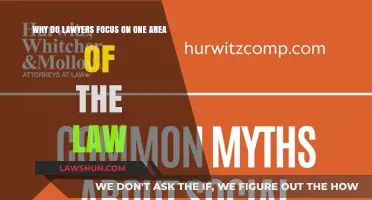 Why Lawyers Specialize: The Benefits of Focusing on One Legal Area