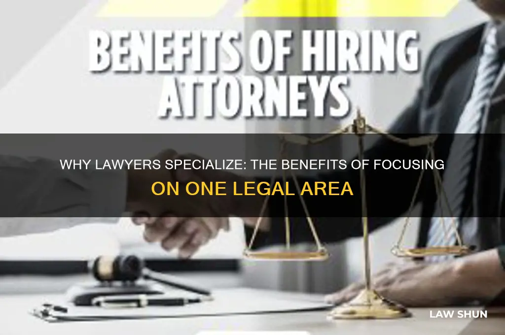 why do lawyers focus on one area of the law