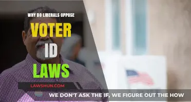 Why Liberals Oppose Voter ID Laws: A Deep Dive