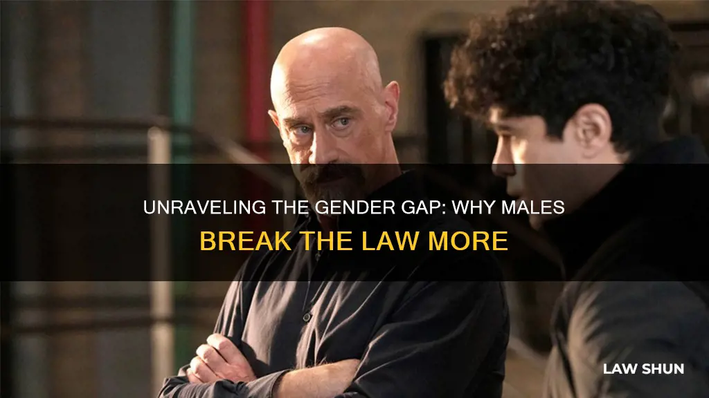 why do males break the law more