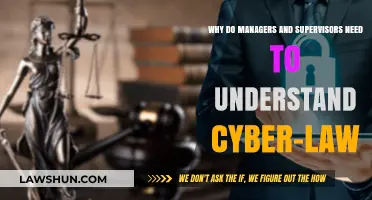 Understanding Cyber-Law: Essential for Effective Management and Supervision