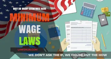 Understanding the Purpose and Impact of Minimum Wage Laws Globally