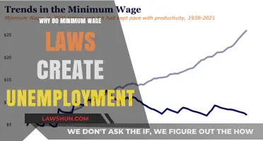 Minimum Wage Laws: A Barrier to Employment