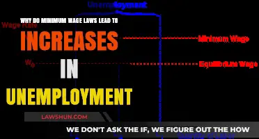 Minimum Wage Laws: Unintended Consequences on Unemployment Rates Explained