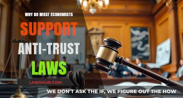 Why Economists Champion Anti-Trust Laws for Fair Market Competition