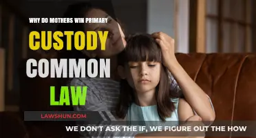 Custody Battles: Mothers Win Primary Custody in Common Law